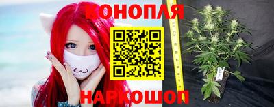 гашик Краснознаменск