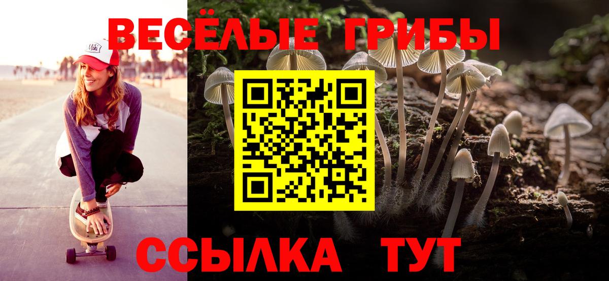 Биробиджан  Псилоцибиновые грибы Cubensis  Вход с VPN 