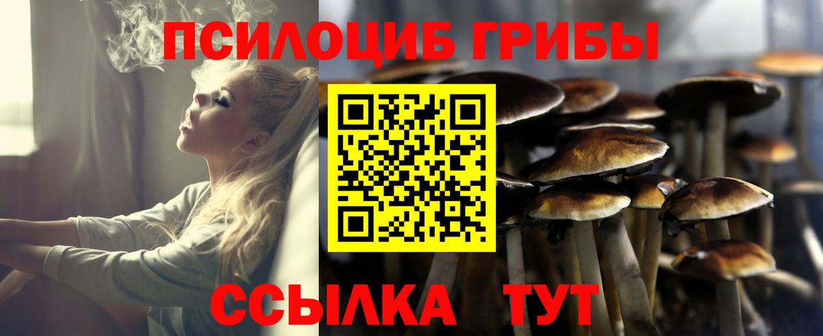 Псилоцибиновые грибы ЛСД Биробиджан